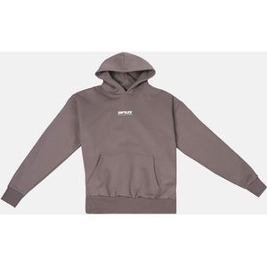 Dropsize HEAVY OVERSIZE DPSZE HOODIE