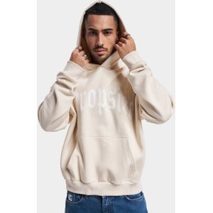 Dropsize Logo Design Hoodie