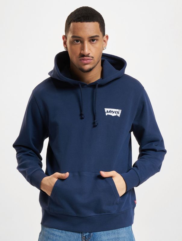Levi's Standard Graphic Hoodie