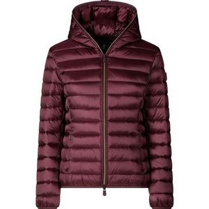 SAVE THE DUCK - Tussenjas - Wijnrood - ALEXIS - Gewatteerde Jas