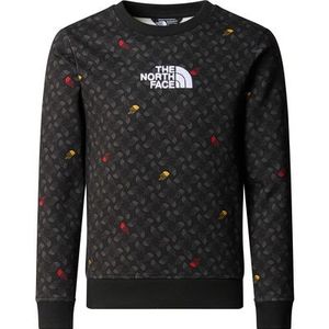 The North Face Kinderen B Drew Peak Light Crew Print Trui