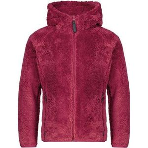 Bergzeit Basics Kinderen Meru Roxburgh Vest