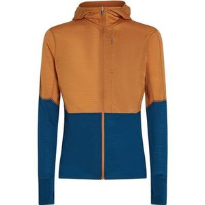 Icebreaker Heren 200 Realfleece Descender Hoodie Jas