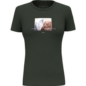 Salewa Dames Pure Design Dry T-Shirt