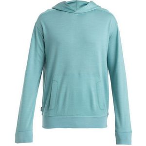 Icebreaker Heren Shifter II Hoodie