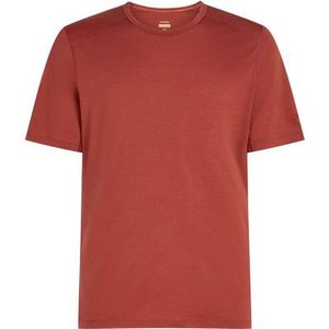 Icebreaker Heren 200 Oasis T-shirt
