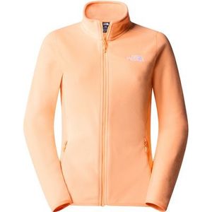 The North Face Dames 101 Glacier Vest