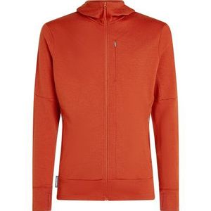 Icebreaker - Merino 260 Quantum - Zip Hoodie Vest - Agate - Heren