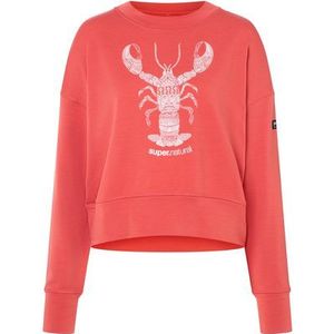 Super.Natural Dames Lobsini Trui