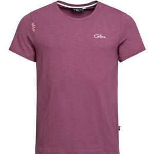 Chillaz Heren Mountain Logo T-shirt