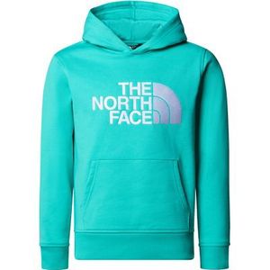 The North Face Kinderen B Drew Peak P/O Hoodie