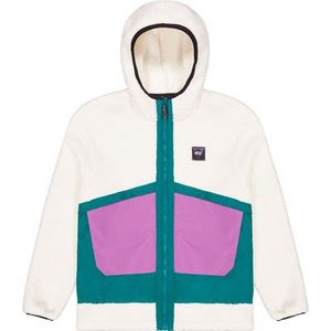 Picture Heren Pmbtn Hoodie Jas