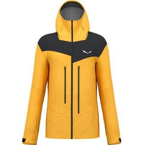 Salewa Heren Ortles PTX 3L Jas