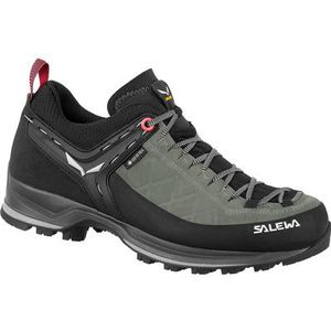 Salewa Dames MTN Trainer 2 GTX schoenen
