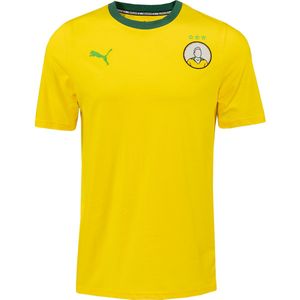 PUMA King Pelé T-Shirt Geel Groen