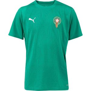 PUMA - Marokko Trainingsshirt 2024-2026 - Groen - Zilver