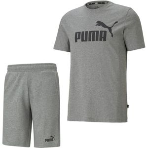 PUMA Essentials Big Logo Zomerset Grijs Zwart