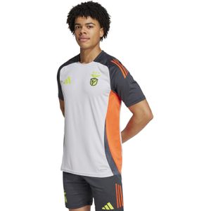 adidas Benfica Trainingsshirt 2024-2025 Lichtgrijs Donkergrijs