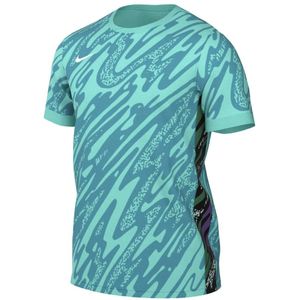 Nike Gardien V Keepersshirt Turquoise Wit
