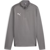 PUMA teamGOAL Trainingstrui 1/4-Zip Kids Grijs Wit