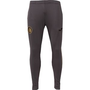 Joma RSC Anderlecht Trainingsbroek 2025-2026 Grijs