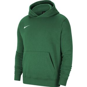 Nike Park 20 Fleece Hoodie Kids Groen