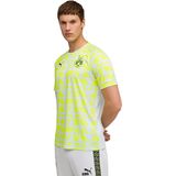 PUMA - Borussia Dortmund Pre-Match - Trainingsshirt - Zilver Geel - 2025-2026
