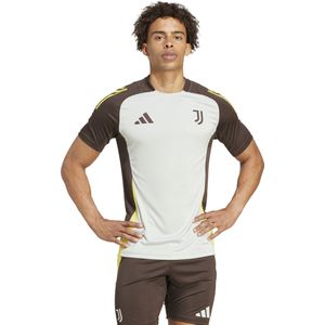 adidas Juventus Trainingsshirt Europees 2024-2025 Grijs Bruin Geel