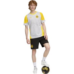 PUMA Borussia Dortmund Trainingsset 2025-2026 Zilver Zwart Geel