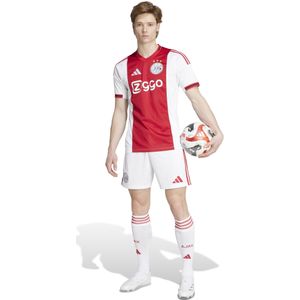 adidas Ajax Thuistenue 2025-2026