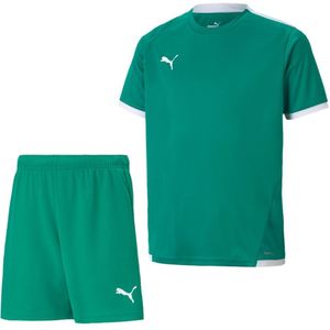 PUMA teamLIGA Trainingsset Kids Groen Wit