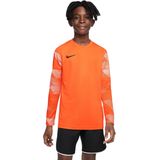 Nike DRY PARK IV Keepersshirt Lange Mouwen Kids Oranje