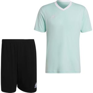 adidas Entrada 22 Trainingsset Mintgroen Zwart Wit