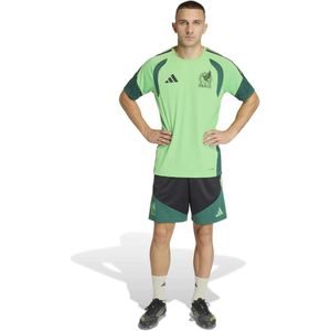 adidas Mexico Trainingsset 2026-2028 Groen