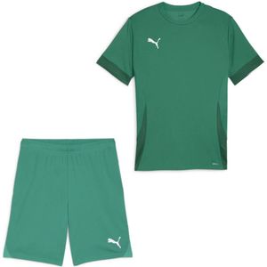 PUMA teamGOAL Matchday Voetbaltenue Groen Wit