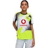 PUMA Borussia Dortmund 25/26 uitshirt, Geel/Zilver, Maat 5-6Y