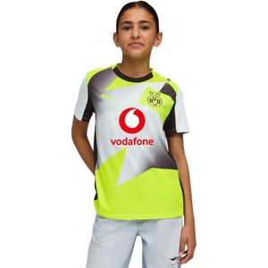 PUMA Borussia Dortmund 25/26 uitshirt, Geel/Zilver, Maat 5-6Y
