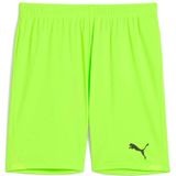 PUMA - teamGOAL - Voetbalbroekje - Groen