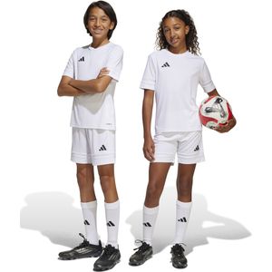 adidas Squadra 25 Voetbaltenue Kids Wit
