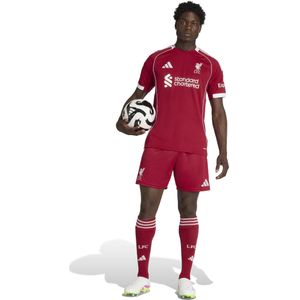 adidas Liverpool Thuistenue 2025-2026