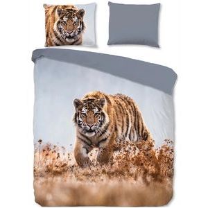 Dekbedovertrek Good Morning Tiger Multi Katoen-240 x 200 / 220 cm | Lits-Jumeaux