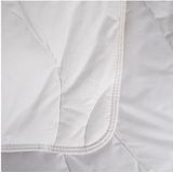 Eastlands - Borne - Dekbed - Wit - 100% Katoen - 70% Tencel en 30% Thermosoft