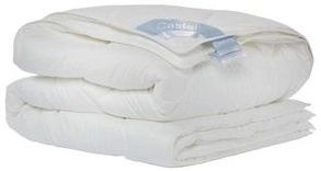 Dekbed - Wit - Katoen - 200x200 cm