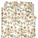 Cinderella - Cleome Dekbedovertrek - Hazel - Katoen - 240 x 200 / 220 cm