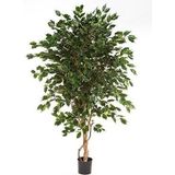 Kunstplant Ficus exotica de luxe L