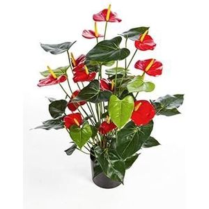 Kunstplant Anthurium red