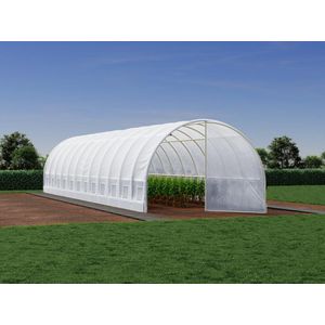 Tunnelkas met structuur van gegalvaniseerd staal en deur 36 m² - L300 x B1200 x H200 cm - Wit - ALOCASIA