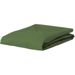 ESSENZA Premium Percale Hoeslaken Mosgroen - 120x200 cm