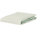 ESSENZA Premium Percale Hoeslaken Oyster - 120x200 cm