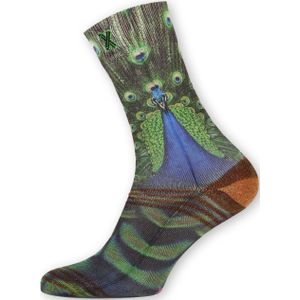 Kousjes & Sokken - XPOOOS - Multicolour